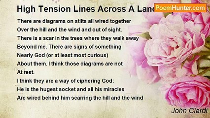 John Ciardi's Poem: High Tension Lines Cutting Through the Landscape 🌄