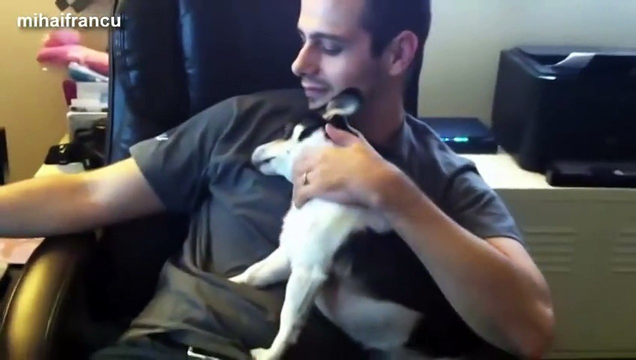 Des chiens qui aiment les humains