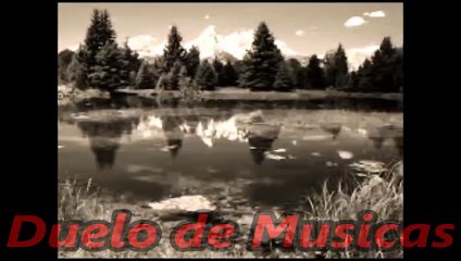 You're My Number One  Zezé de Camargo & Priscila Sás