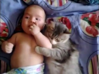 Des chats qui aiment les bébés