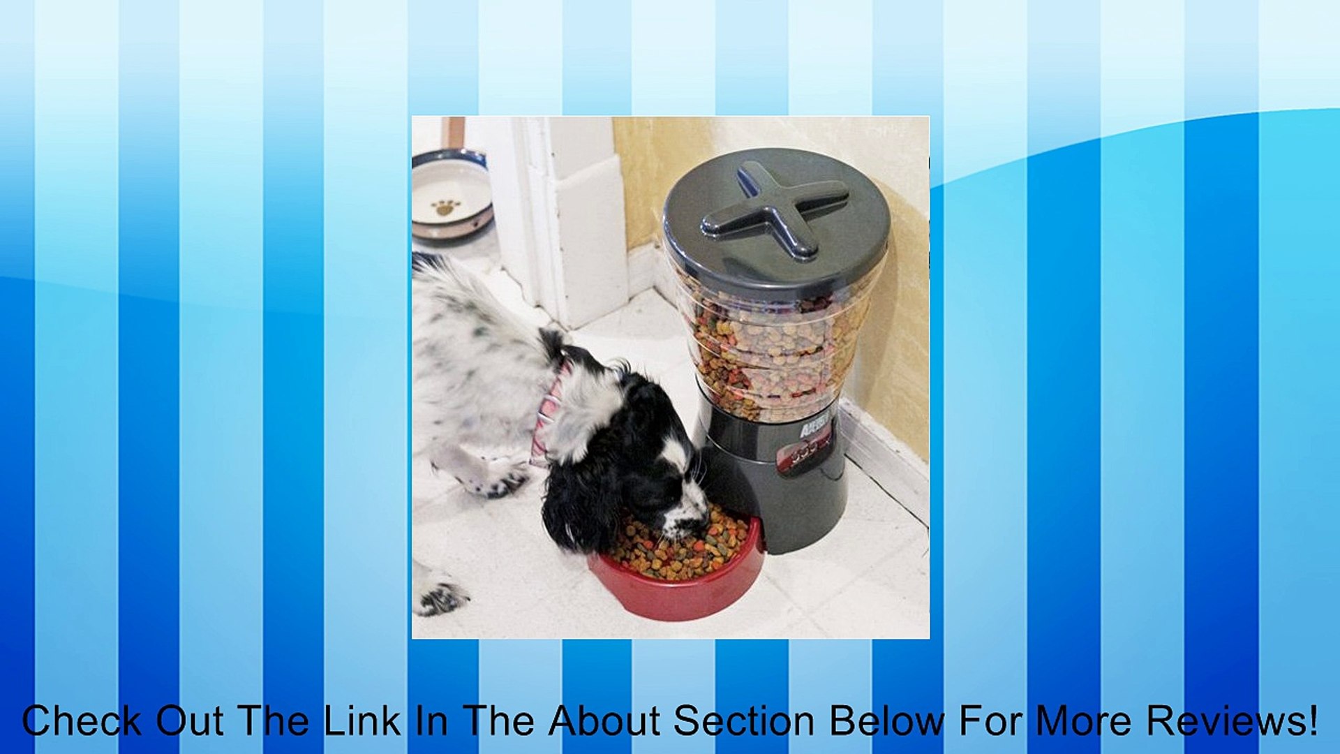 ⁣Animal Planet Auto Pet Feeder Review