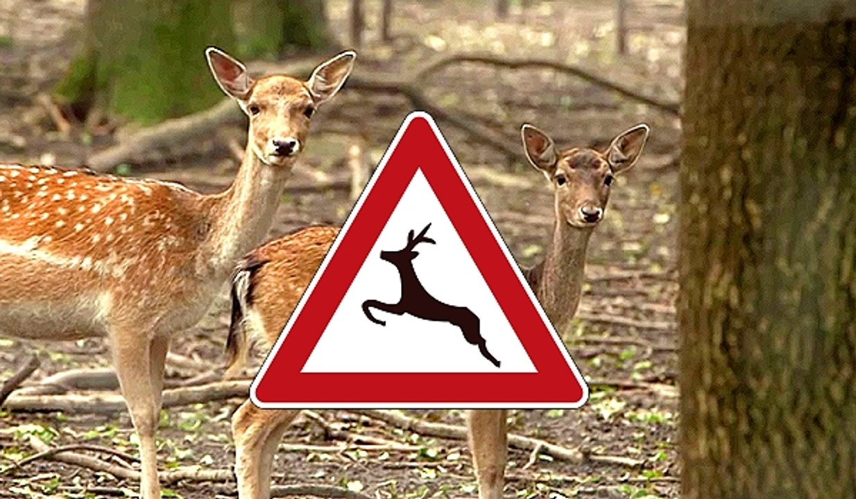 Lebensgefährlich durch den Herbst