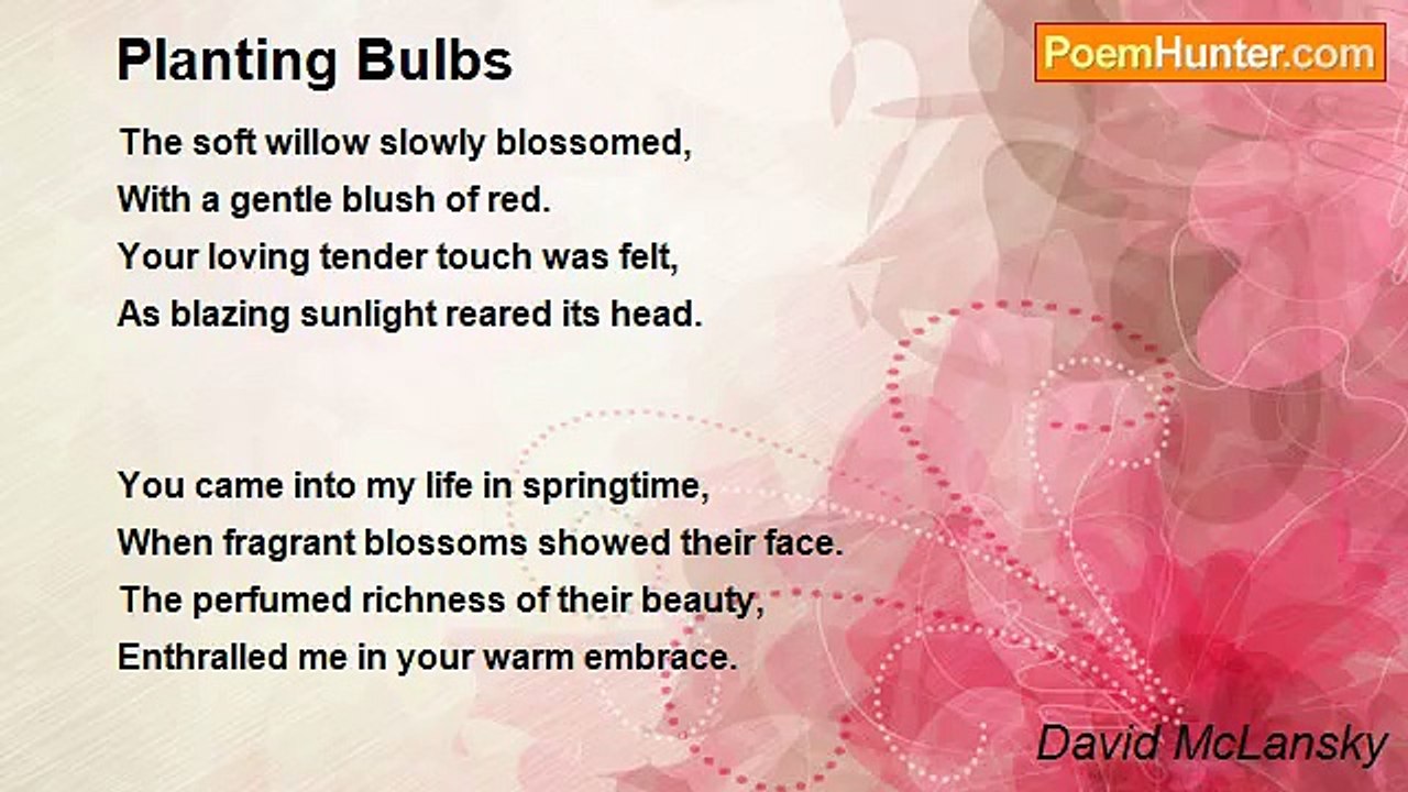 David McLansky - Planting Bulbs