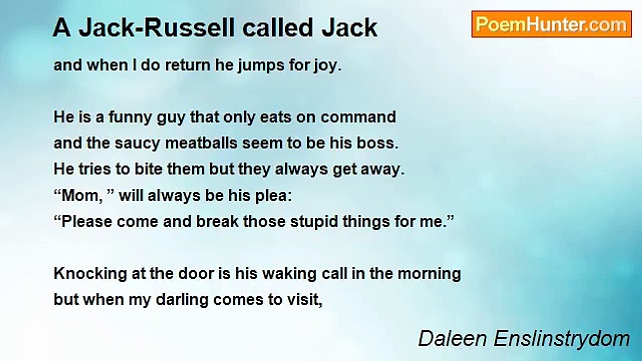 Daleen Enslinstrydom - A Jack-Russell called Jack