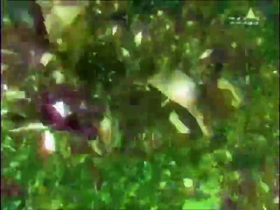 地球の中心