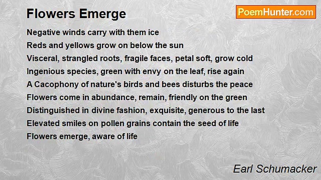 Earl Schumacker - Flowers Emerge