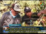 Guatemala peasants deal with coffee rust plague without gov't support