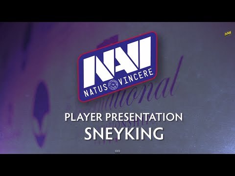 Na`Vi.US.SneyKing - The International 4 Player Profile