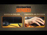 Review SteelSeries Sensei RAW (in English and Russian)