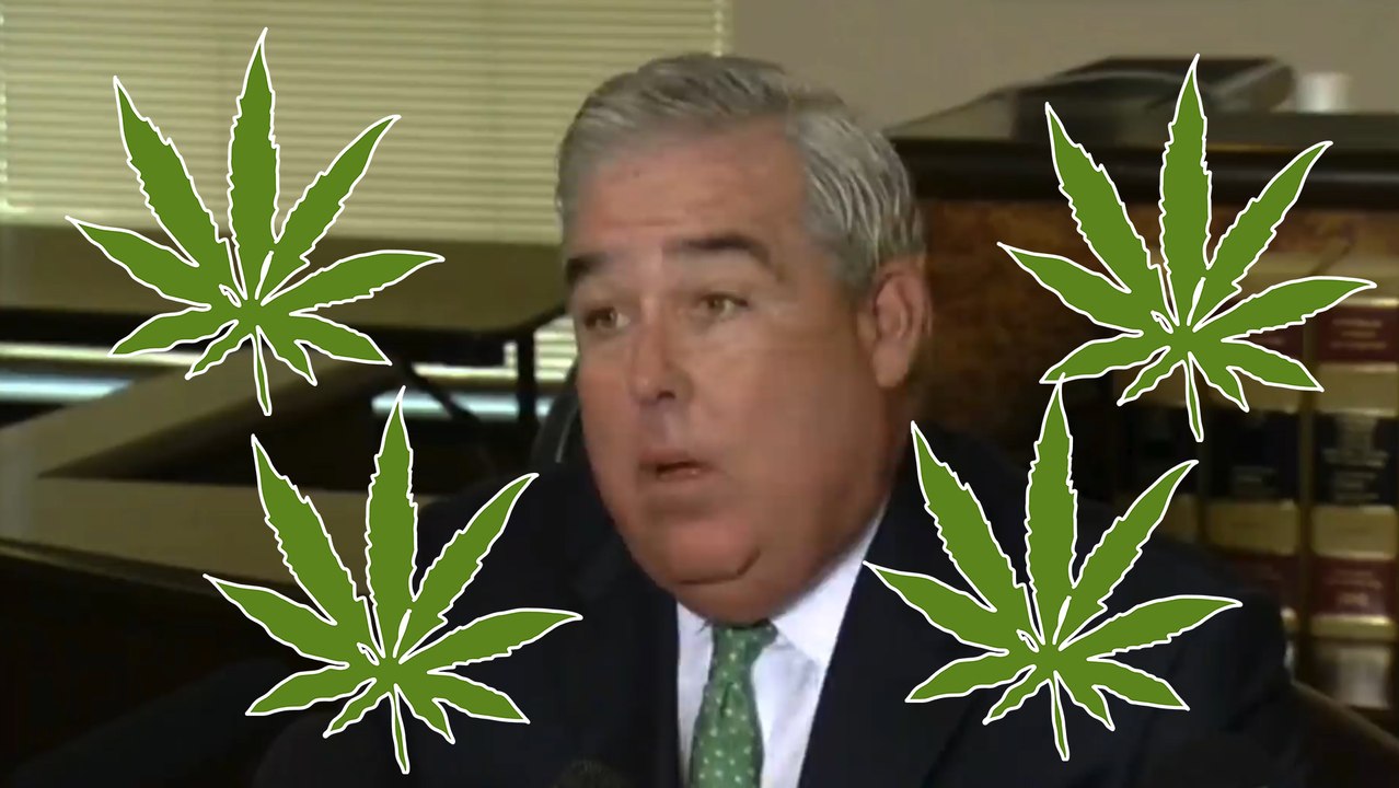 Maybe Florida Weed Failed Because This Guy Was In Charge