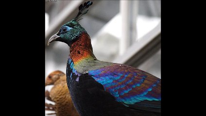 An Excerpt from Prosperity Secrets of the Ages by Catherine Ponder