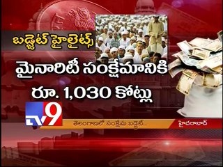 TS first budget gives priority to state welfare - Tv9