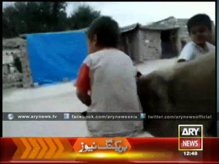 Dog Screws Up a Rowdy Child