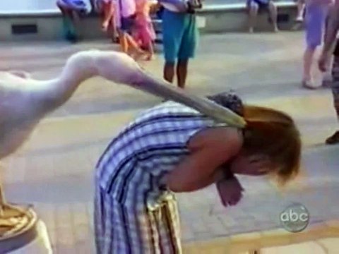 ☺ AFV Part 97 (NEW!) - America's Funniest Home Videos (2011) _ OrangeCabinet