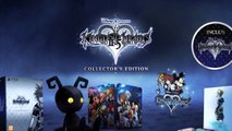 L'édition collector de Kingdom Hearts HD 2.5 ReMIX