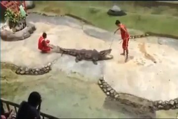 Timsah Adamın Yüzünü Parçaladı