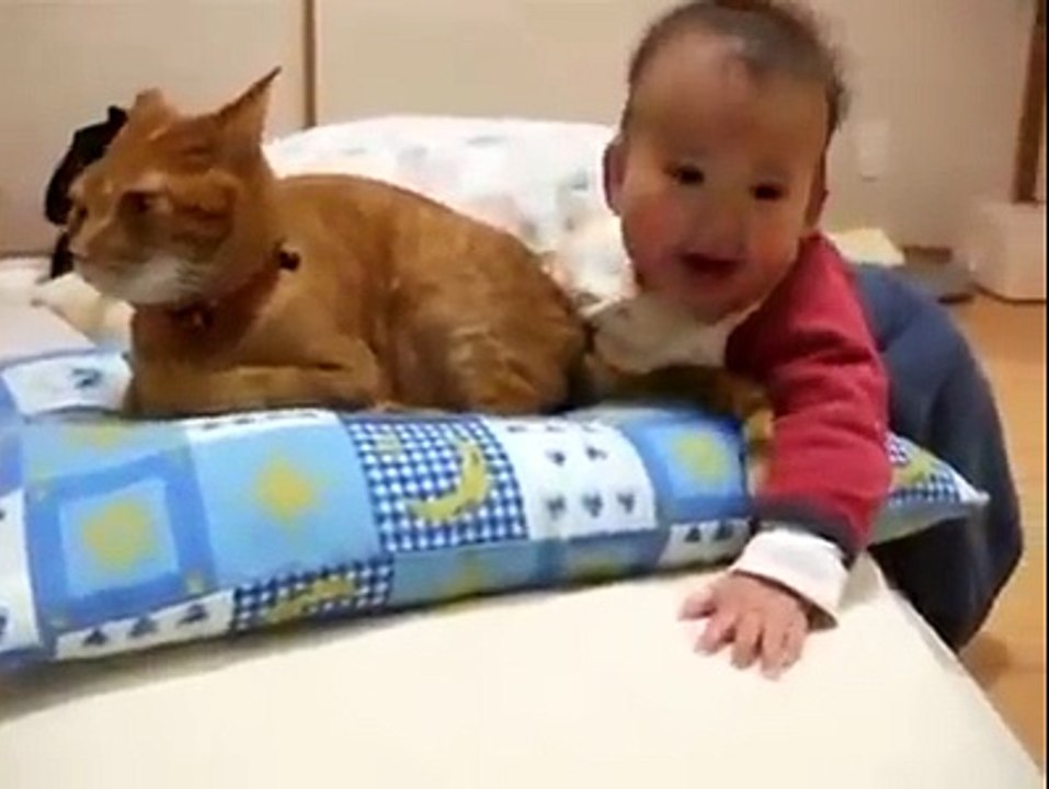 Kedinin kuyruğunu ısıran bebek :)