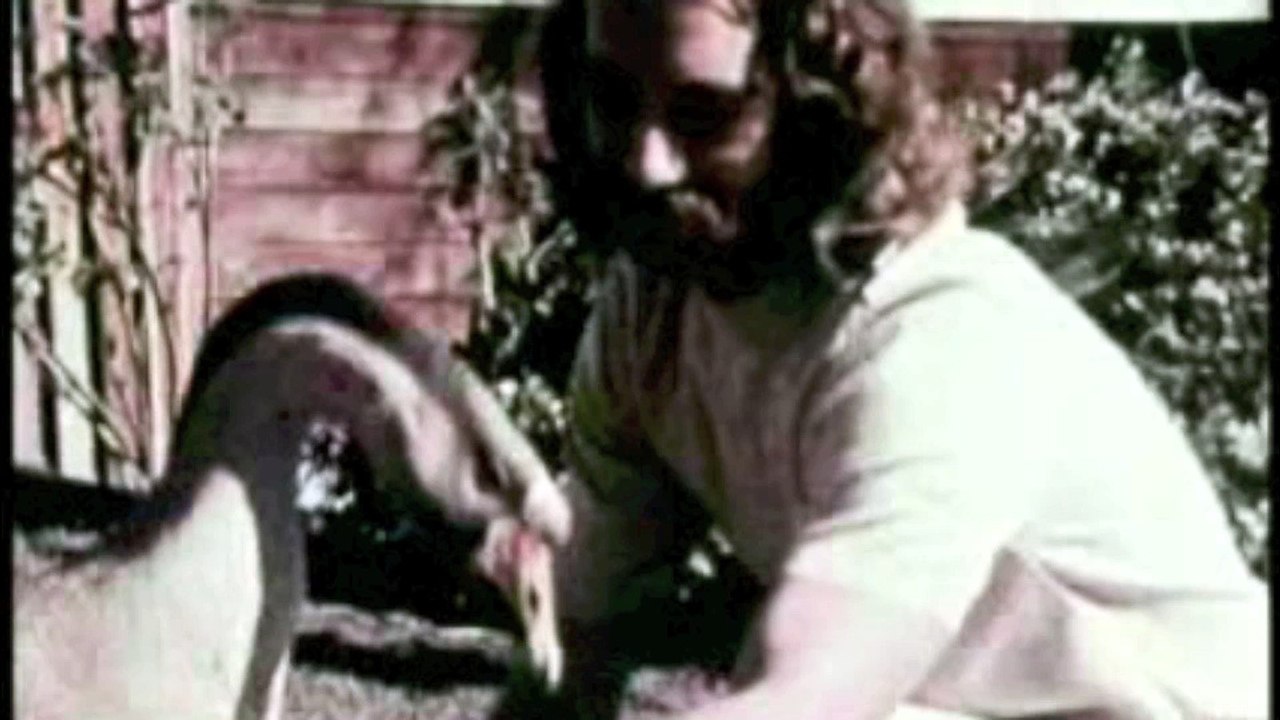 Freedom to become (olive et moi)