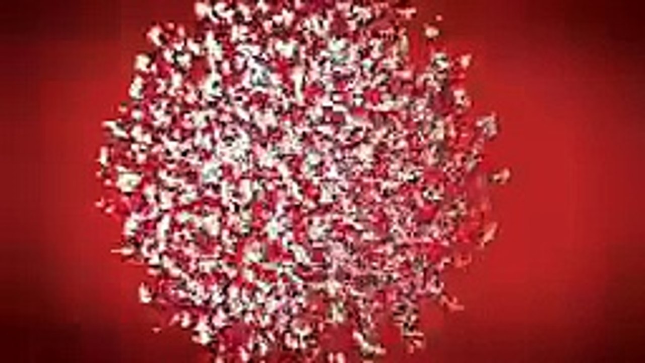 Sanjeev ghei, Sanjeev ghai irs-Project Global Sing Along