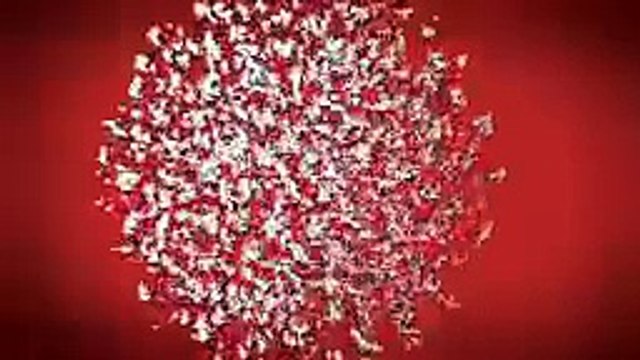 Sanjeev ghei, Sanjeev ghai irs-Project Global Sing Along