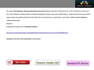 Bio-Polyamide, Specialty Polyamide & Precursors Market - Trends & Forecasts to 2019