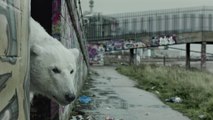 Homeless Polar Bear avec Jude Law