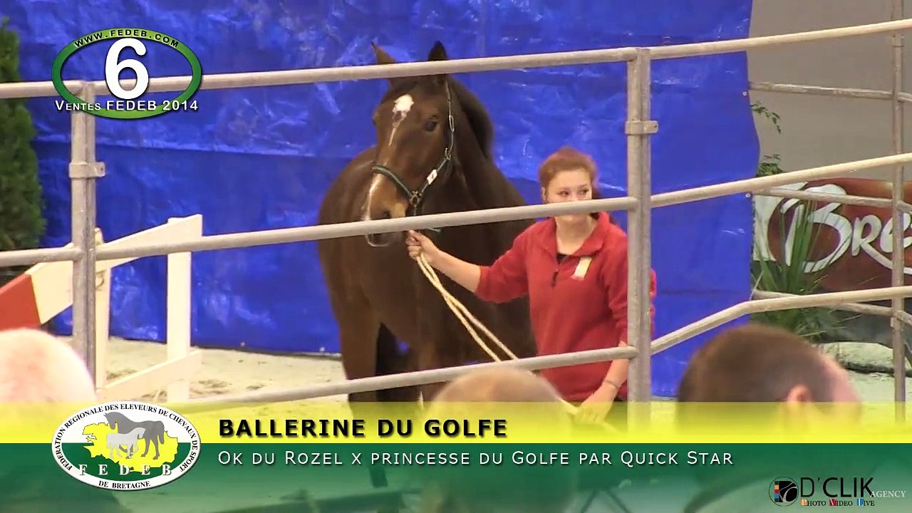 BALLERINE DU GOLFE