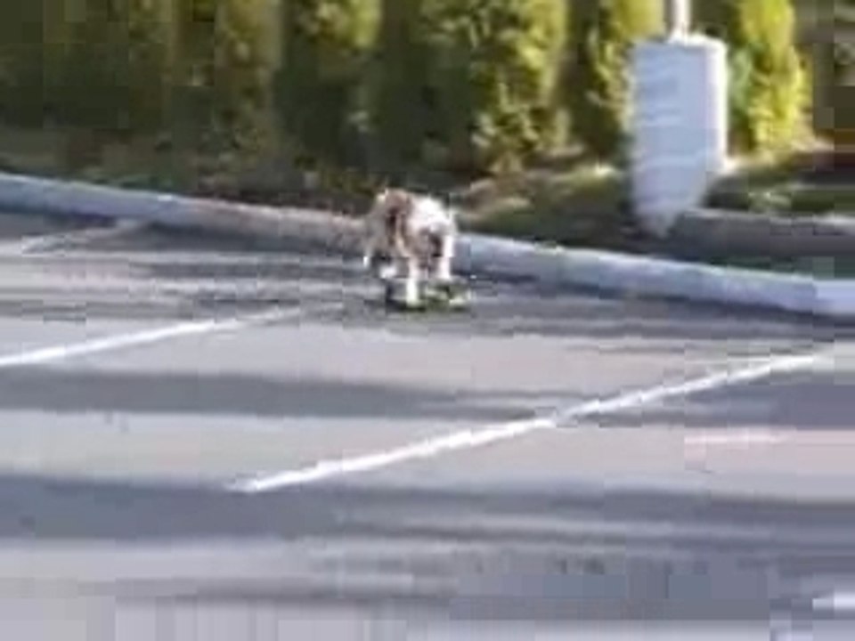 Tyson Skating