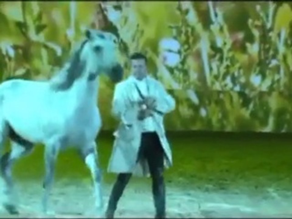 Spectacle équestre de Vincent Libérator à Equestria 2013