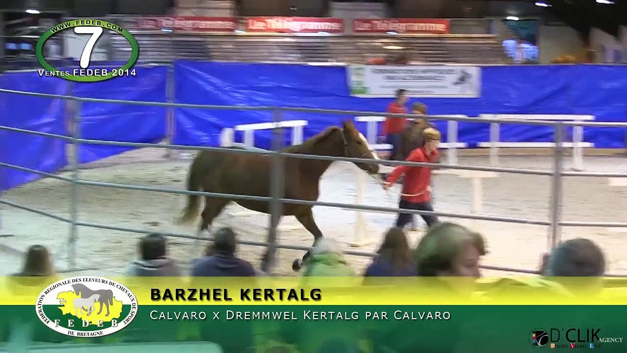 BARZHEL KERTALG
