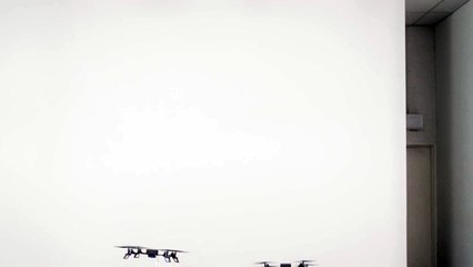 videoplayback_2