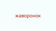 Квизон #19. Голоса птиц [часть 1]