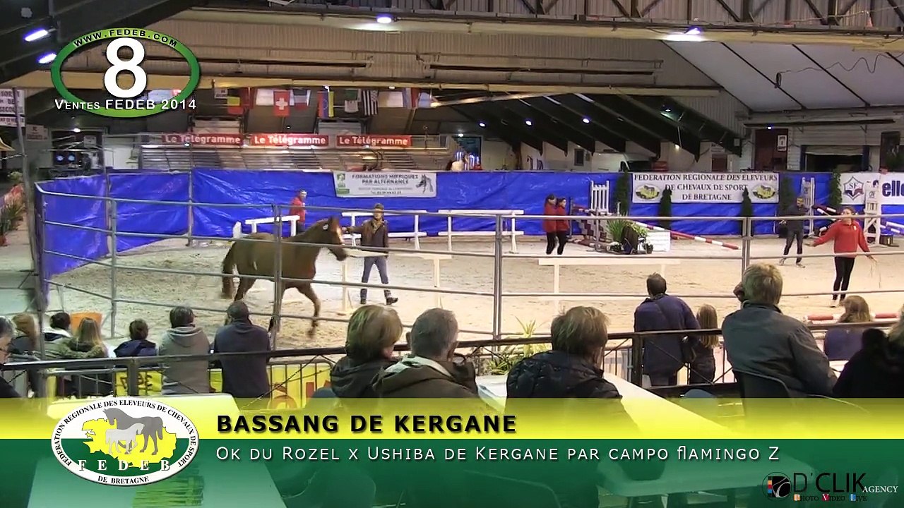 BASSANG DE KERGANE