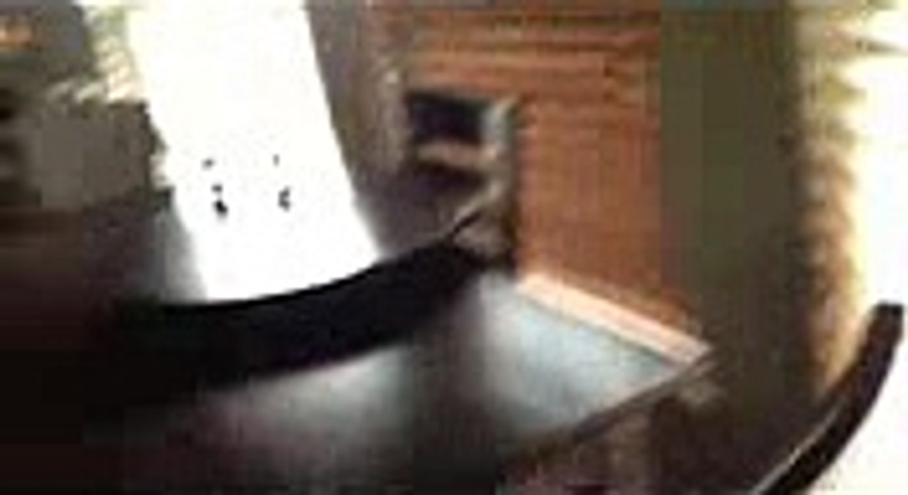 Download chartdirector for python (64 bit) v.5.1.1 crack updated