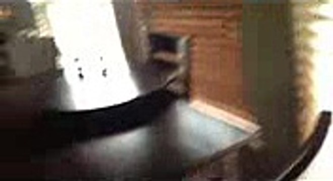 Download chartdirector for python (64 bit) v.5.1.1 crack updated