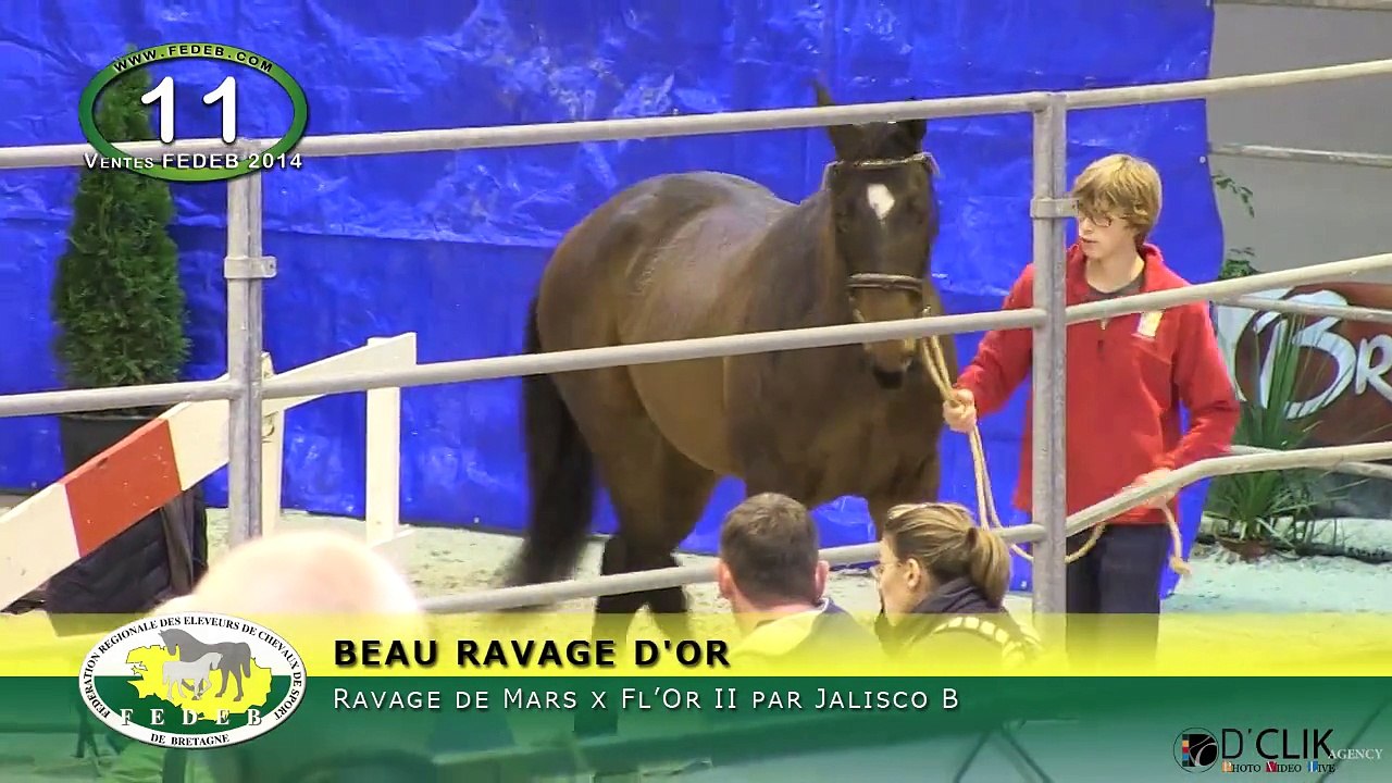 BEAU RAVAGE D'OR