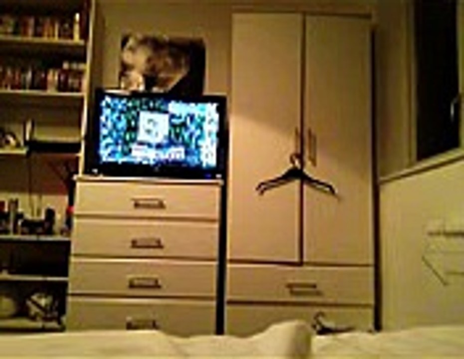 Download allok avi mpeg wmv rm to mp3 converter v.1.8.4 crack updated