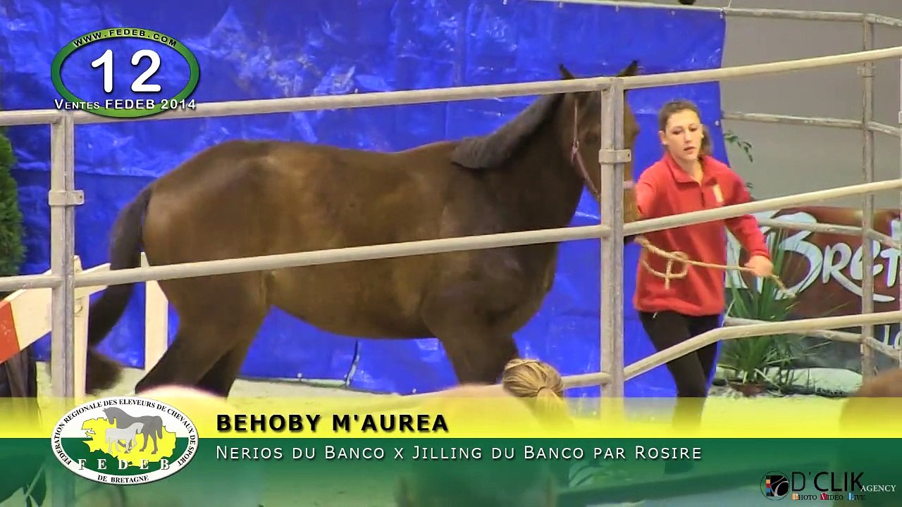 BEHOBY M AUREA