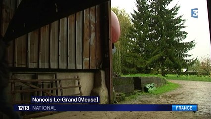 La tête d'un loup mise à prix 2 000 euros dans la Meuse