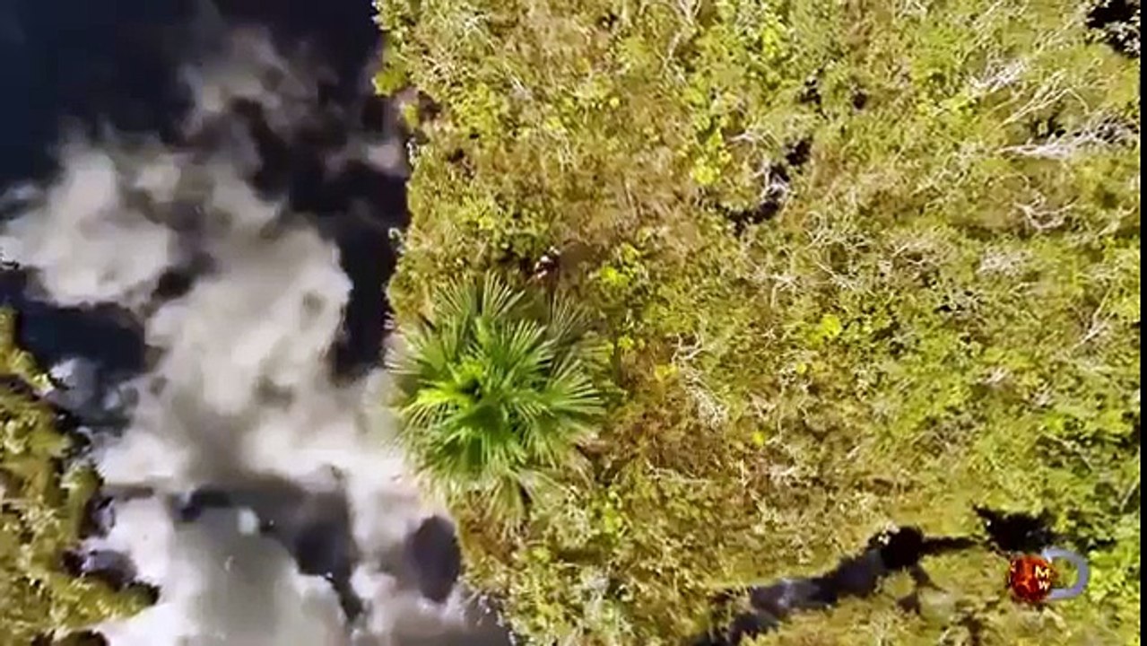 بالفيديو- مغامر يقدم نفسه وجبة لأفعى أناكوندا عملاقة