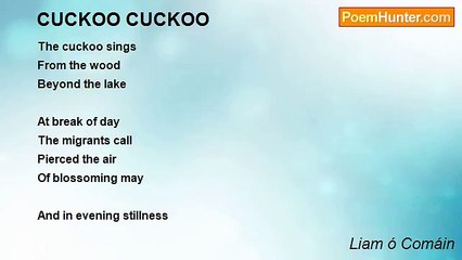 Liam ó Comáin - CUCKOO CUCKOO