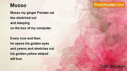 Gert Strydom - Musso