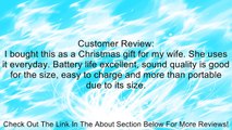 MINI JAMBOX by Jawbone Wireless Bluetooth Speaker - Silver Dot - Retail Packaging Review