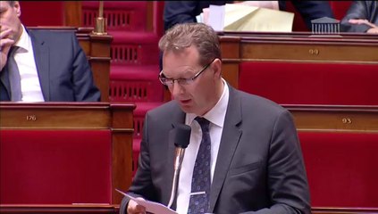 amdt 499 art 47 aides emploi saisonnier agricole Agriculture 061114