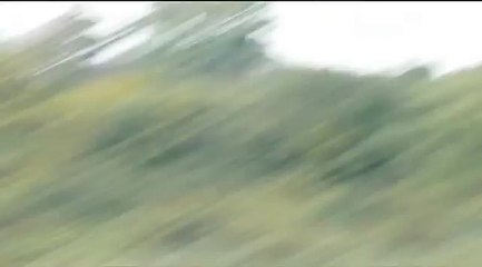 Unicorn sighting in England