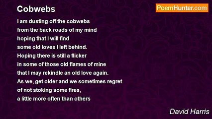 David Harris - Cobwebs