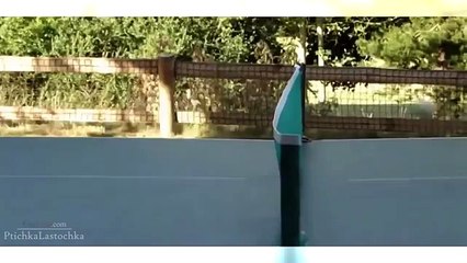 [+18 ~ Sexy Funny Girl]Pranks - Gags - Win - Fail.55