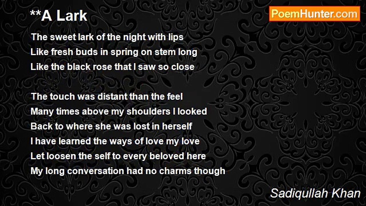 Sadiqullah Khan - **A Lark