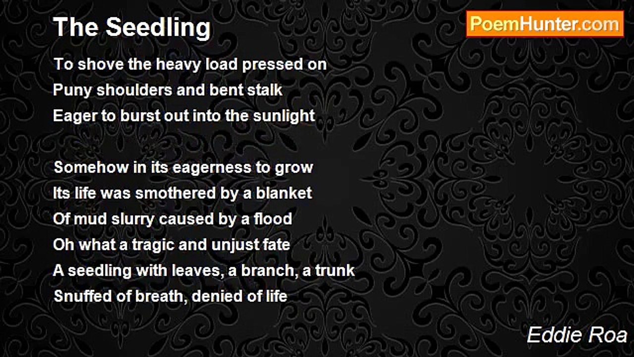 Eddie Roa - The Seedling