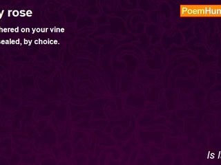 Is It Poetry - my rose